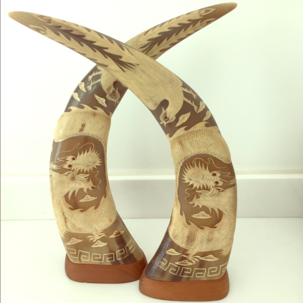 Water Buffalo Horn